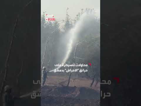 فرق الإطفاء تسيطر على حرائق الأحراش في دمشق