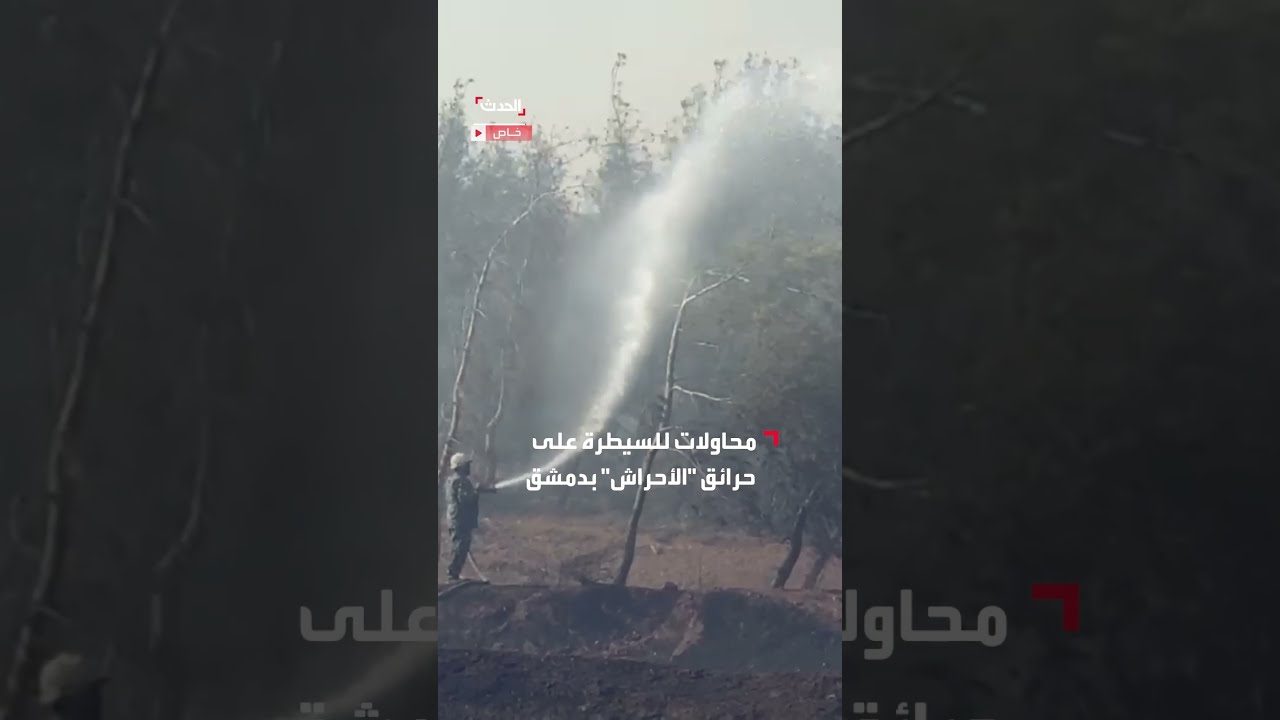 الحدث ترافق فرق الإطفاء أثناء محاولتهم السيطرة على حرائق الأحراش بدمشق