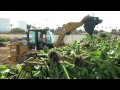 Port of Stockton: Water Hyacinth Removal