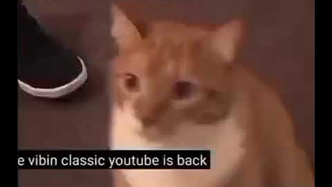 Shortest Video On YouTube Parts 1-100 in El Squared