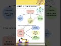 power sharing chapter notes