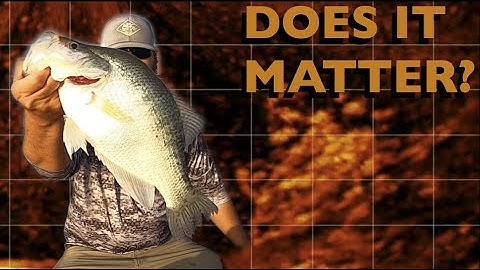 Post Spawn Crappie and Scent (let me show you)