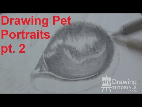 Drawing Pet Portraits Part 2 - Shading the Eye