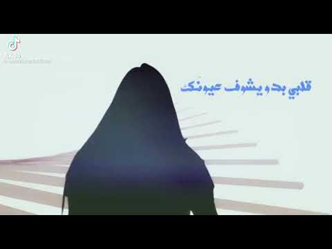 ما تقلي الحالي نار سارة زكريا قلبي ما ب يحضر أخبار حالات واتس أب ستوريات انستا مقاطع تيك توك