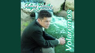 Video thumbnail of "Felipe Garibo - Arrepientete"