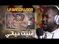 Ultras Fanatic Reds La Banda Loca فنيت حياتي ALGERIAN REACTION 