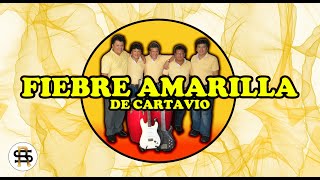 Video thumbnail of "GRUPO FIEBRE AMARILLA DE CARTAVIO - MIX (Manzanita, Los Mirlos, Los Destellos) Vol.02"