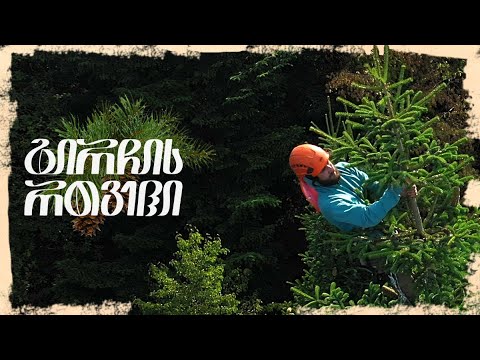 გირჩის რთველი რაჭაში