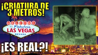 ¡EN LAS VEGAS, CRIATURA EXTRAÑA DE 3 METROS! ¿REAL O FAKE?