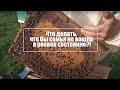 Пчеловодство № 55 Расширение пчелосемьи. Что делать, что бы семья не вошла в роевое состояние?!