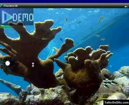 Testing the flocking algorithm