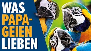 Was PAPAGEIEN lieben | NORBERT ZAJAC | Zoo Zajac, Duisburg