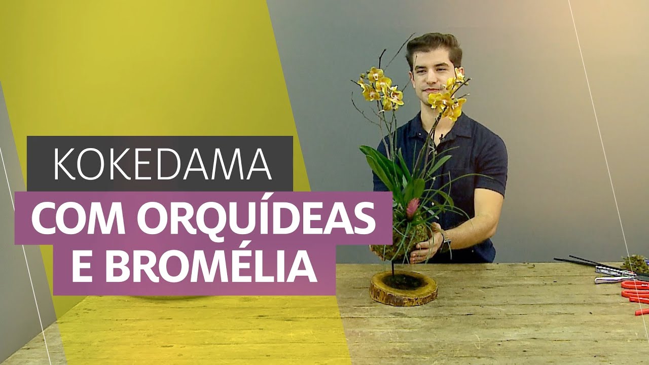 APRENDA A FAZER UMA KOKEDAMA COM ORQUÍDEAS #kokedama #arranjofloral #floriculturalucrativa #florista