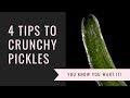 How to make pickles crunchy!!