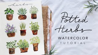 Easy Potted Herbs Step by Step Watercolor Tutorial