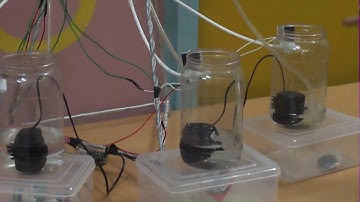 Industrial Automation Project | Best Summer Training for Industrial Automation in Jaipur