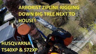 Arborist climbing tree removal zipline rigging next to house | Husqvarna 572XP & T540XP Mk2 by patkarlsson 5,706 views 1 year ago 18 minutes