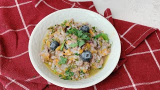 Diy Healthy Dog Food Recipe  Beef And Blueberry Stew For Dogs  Make Healthy Food For Dogs At Home