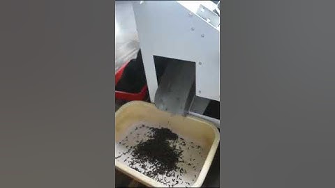 ✅Clove Color Sorter Machine / 📞 Call: 99943 99996 / Cloves Sorting Machine Coimbatore