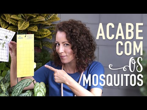 Como ACABAR com MOSQUITOS nas plantas