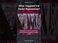 What triggered the soviet repressions shorts history soviet gulag socialism