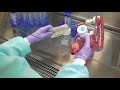 Aseptic techniques cell culture basics