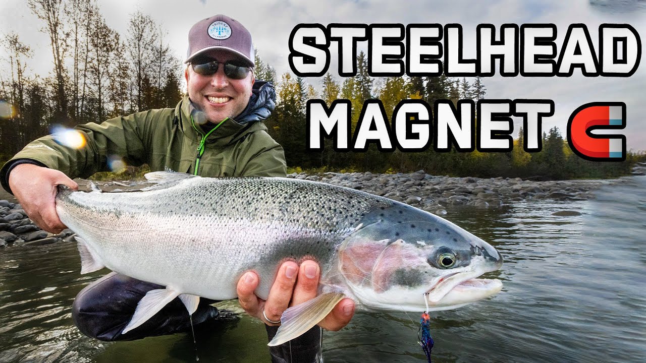 How to Choose the Best Fly Line for Steelhead - Trident Fly Fishing