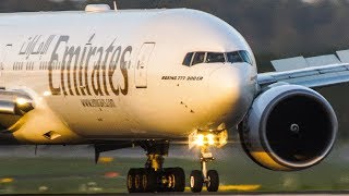 For the BOEING 777 FANS - BOEING 777-300 landing of Emirates and Etihad