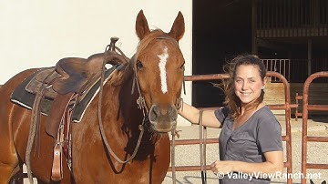 Dont Skipa Goodbar***For info, price, etc., go to our website***ValleyViewRanch.net