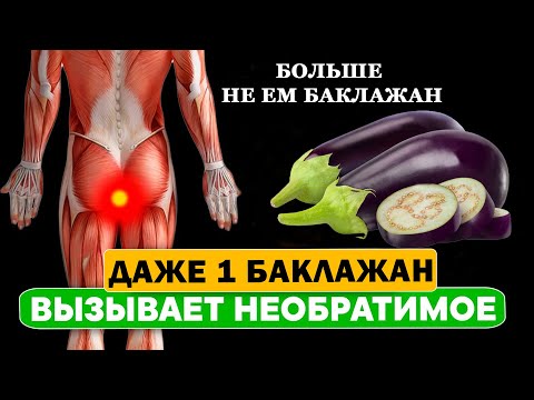 БАКЛАЖАНЫ – польза и вред для здоровья. Чем полезны баклажаны для организма.