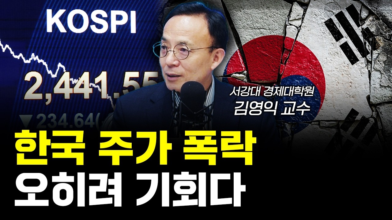 한국 주가 폭락이 오히려 기회인 이유 f.김영익 서강대 경제대학원 교수 | 삼프로TV