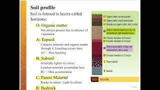 General Soil Profile Net Worth