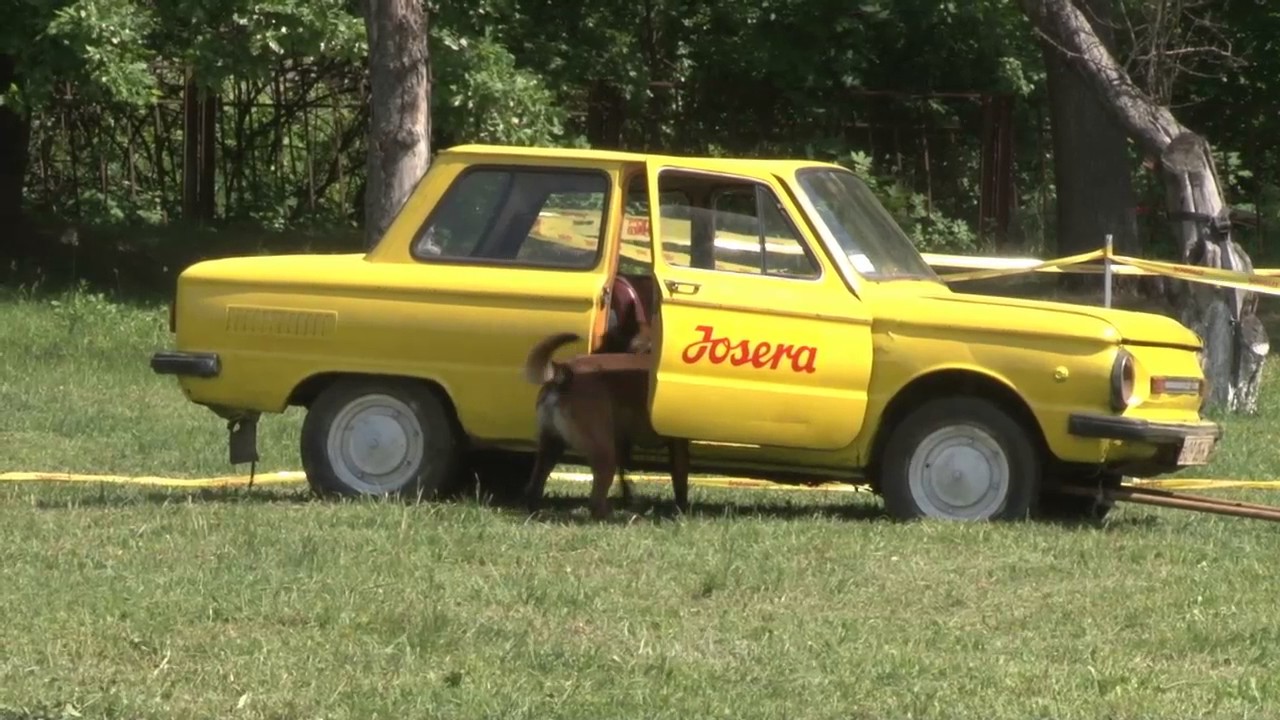 Машина охраны фото