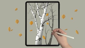 Beautiful Birch Trees and Falling Leaves iPad Procreate Drawing - Digital Illustration