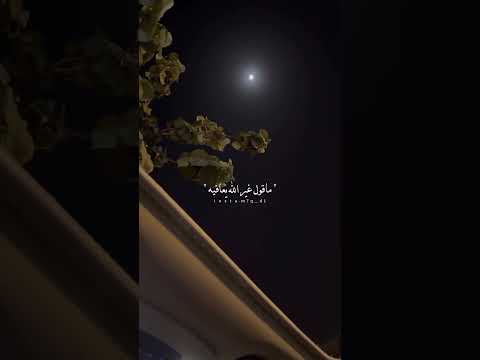 غرو بعده القلب منصاب ذوق تفاعلوا شيلات شيلة ظافر الحبابي غريب ال مخلص عبدالله ال مخلص اشتراك