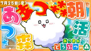 キムチキャットの配信のサムネイル画像