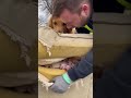 so crazy #viral #trending #short
