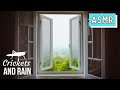 🦗 Cricket and Rain Sounds 🌧️, Sounds For Sleeping Rain Crickets - Rainy Window View for Relaxation