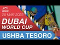 Dubai world cup  250323  dubai world cup sponsored by emirates airline  ushba tesoro