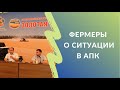 Фермеры о ситуации в АПК: про цены на зерно и технику | «Народный фермер Кубани» на «Золотой Ниве»