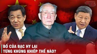 VỊ NGUYÊN LÃO QUYỀN LỰC BẬC NHẤT BẠC NHẤT BA - KẺ THAO TÚNG CHÍNH TRỊ NHƯNG ĐẠI BẠI DƯỚI TAY HỌ TẬP