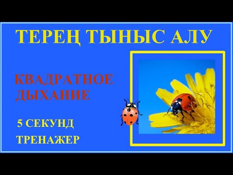 Бейне: Баяу тыныс алу қан қысымын төмендете ме?