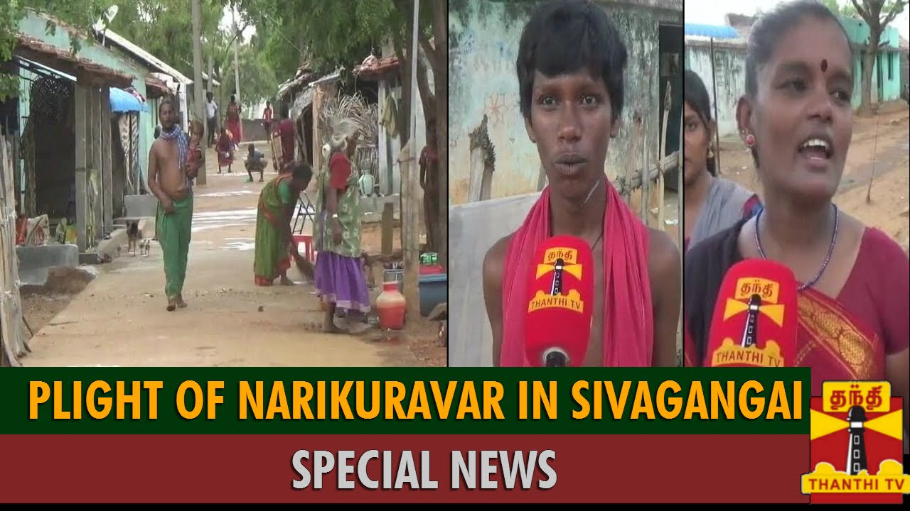 Special News On Plight Of Narikuravar People in Sivagangai   Thanthi TV