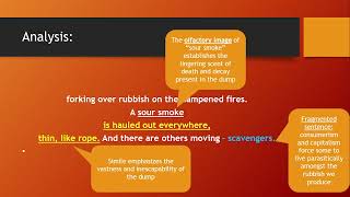 Robert Gray 'Flames and Dangling Wire' annotations