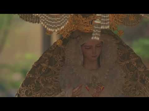 Real, Ilustre y Fervorosa Archicofradía del Santísimo Sacramento, Pura y Limpia Concepción y Ánimas Benditas, Santísimo Cristo de San Agustín y Hermandad de Penitencia de Nuestro Padre Jesús de las Penas y Nuestra Señora de Gracia y Esperanza