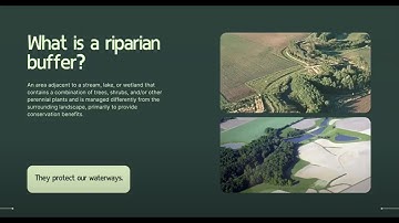 What is a Riparian Buffer