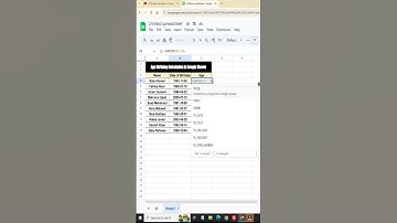 Age Birthday Calculation in Google Sheets
