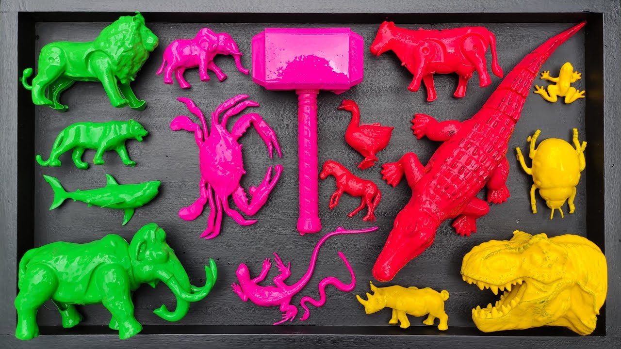 Membersihkan hewan sapi, bebek, angsa, ayam, gajah, simpanse, singa, unta, buaya, kangguru