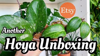 More Plant Mail!! a chaotic unboxing of more wishlist Hoya, Rhipsalis, & some cute pots!