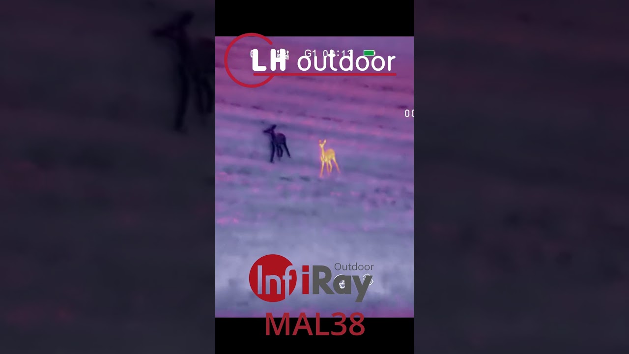 Camera termoviziune clip-on Infiray MAL38 - LH Outdoor